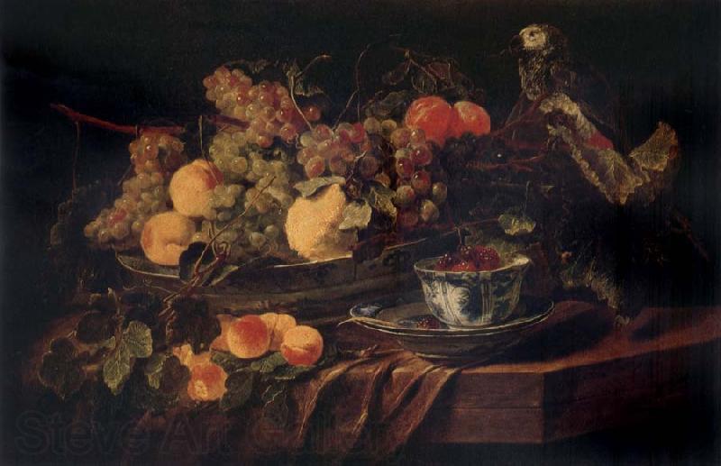 Jan  Fyt Fruit and a Parrot Norge oil painting art
